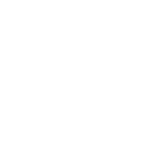 The Success Gear